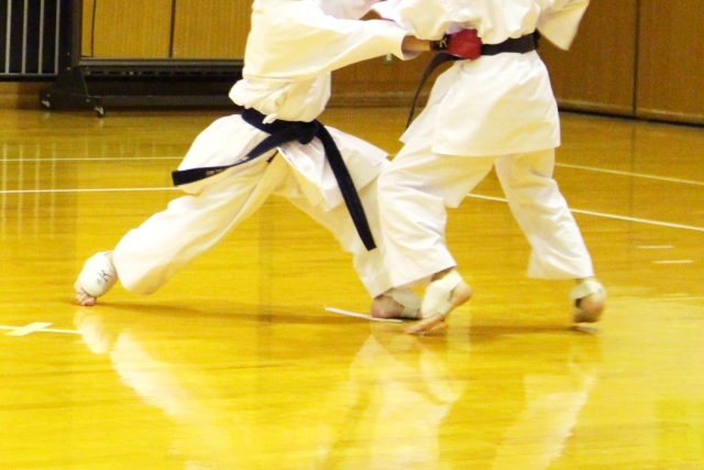 karate - 大学生が考える小中学生の習い事-%e6%95%99%e8%82%b2-子育て, 小学生